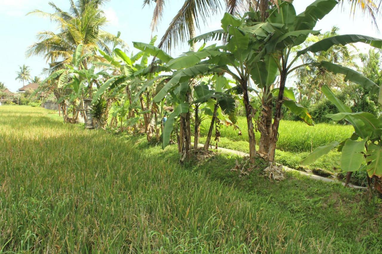 Ubud River Campuhan Villa Buitenkant foto