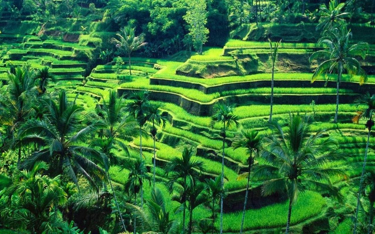 Ubud River Campuhan Villa Buitenkant foto